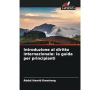Introduzione al diritto internazionale: la guida per principianti