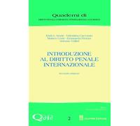 Introduzione al diritto penale internazionale