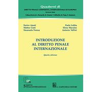 Introduzione al diritto penale internazionale