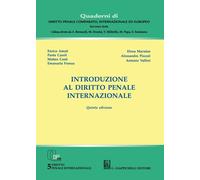 Introduzione al diritto penale internazionale - 2025 - Giappichel