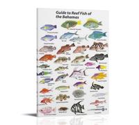 Introduzione al pesce corallo in The Bahamas Living Room Wall Art 30 x 45 cm