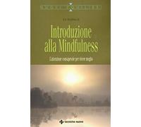 Introduzione alla mindfulness. L'attenzione consapevole per vivere meglio