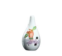 Introduzione Alla Scuola Di Strumenti Musicali A 6 Fori Ocarina Per Principianti Per Imparare Lo Strumento Ocarina A Chiave Ac Flauto Ocarina (Color : 04)