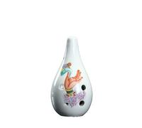 Introduzione Alla Scuola Di Strumenti Musicali A 6 Fori Ocarina Per Principianti Per Imparare Lo Strumento Ocarina A Chiave Ac Flauto Ocarina (Color : 05)