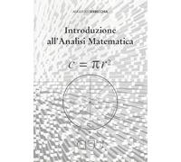 Introduzione all'analisi matematica