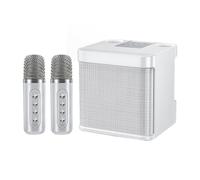 Introti Portatile Karaoke Macchina Con 2 Microfoni Studio Subwoofer Altoparlanti Ricaricabili Piccoli Altoparlanti KTV Per Home Entertainment