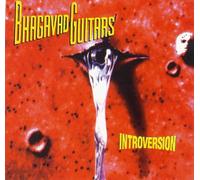 INTROVERSION/EXTRAVERSION - BHAGAVAD GUITARS