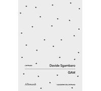 Intruso. Davide Sgambaro. Ediz. italiana e inglese