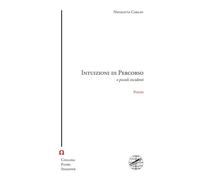 Intuizioni di percorso e piccoli incidenti