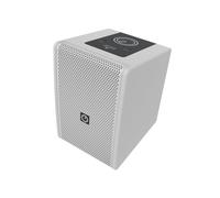 INTUSONIC 6FP100T 6.5" 2-way Fullrange Speaker white