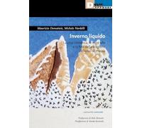 Inverno liquido - Maurizio Dematteis, Michele Nardelli - DeriveApprodi, 2022