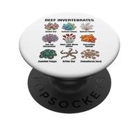 Invertebrati di barriera corallina - Illustrazione di diverse specie di barriera corallina PopSockets PopGrip Adesivo