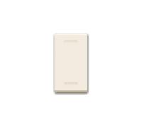 Invertitore 16Ax 1 Mod. Blanc AVE 45904