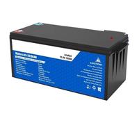 Invertitore Batteria LiFePO4 50AH 100AH 200AH 12V 24V BMS Ricaricabile Al Litio Per Auto Da Campeggio Solare(24V 100AH)