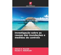 Investigação sobre as causas das inundações e medidas de controlo