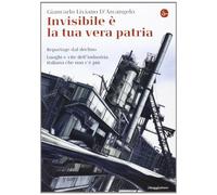 Invisibile è la tua vera patria. Reportage del declino. Luoghi e vite dell'industria italiana che non c'è più