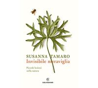 Invisibile meraviglia. Piccole lezioni sulla natura