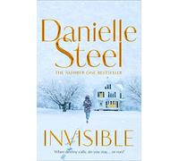 Invisible - Steel Danielle