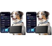 invoxia Minitailz - Localizzatore GPS e di salute per cani n. 1 - Avvisi anti-fuga, scansione respiratoria - Posizione in tempo reale, ricaricabile tramite USB, zona virtuale e recinto