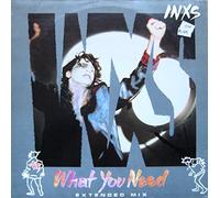 INXS - What You Need (Extended Mix)