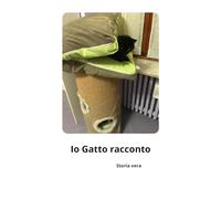 Io Gatto racconto: La Fata dagli occhi dolci