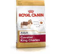 Io penso Royal Canin Cavalier King Charles Adulto 1,5 Kg