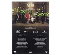 Io Sono L'Amore (DVD) Swinton Parenti