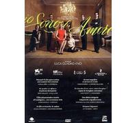 Io Sono L'Amore (DVD) Swinton Parenti