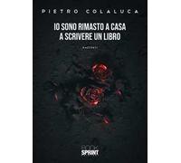 Io sono rimasto a casa a scrivere un libro