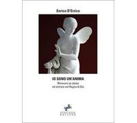 Io sono un’anima di Enrico D’Errico, 2019, Fontana Editore
