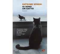 Io sono un gatto