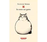 Io sono un gatto