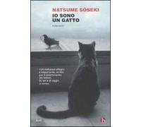 Io sono un gatto