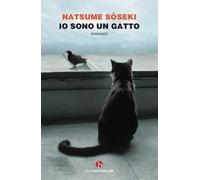 Io sono un gatto
