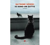 Io sono un gatto