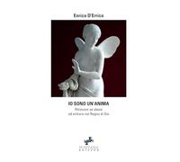 LIBRO IO SONO UN'ANIMA. RITROVARE SE STESSI ED ENTRARE NEL REGNO DI DIO D'ERRICO