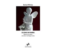 LIBRO IO SONO UN'ANIMA. RITROVARE SE STESSI ED ENTRARE NEL REGNO DI DIO D'ERRICO