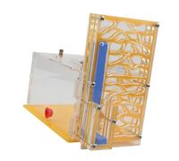 Ioensy Formicaio Trasparente Acrilico con Area Cibo Osservazione Vita Formiche Adatto per Bambini E Amanti Insetti, Giallo