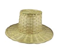 Ioensy Lampada a sospensione in vetro soffiato per illuminare il tuo spazio