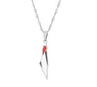 IOIUSKKU Collana compatta in acciaio inossidabile con ciondolo Per unico con mappa della Palestina, collane a catena con ciondolo da indossare ogni giorno, Argento