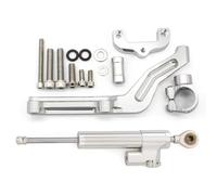 IORQWEW Ammortizzatore Moto Compatibile con Z650 2017 2018 2019 2020 2021 2022 2023 Ammortizzatore di Sterzo per Moto Stabilizzatore Ammortizzatore Lineare Universale Accessori Regolabili(Silver)