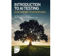 Iosif Itkin Iuliia Emelianova Dmitrii Degtiarenko An Introduction to (Tascabile)