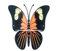 Iouyjiu Butterfly Shaped Wall Rack, Floating Shelf for Kids Room, Eco-Friendly Iron Display Rack, Ideal for Small Flower Pots, Decorative Storage for Children’s Room, 11.42x9.84in