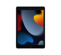 iPad di 9a generazione 10,2 (2021), 256 GB - WiFi - Argento - Nouvo