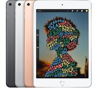 iPad mini (2019) | 7.9" | 256 GB | 4G | rosé dorato