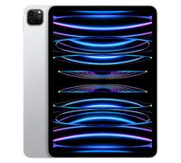iPad Pro 11" (2022) 4a generazione 128 GB - WiFi - Argento