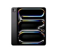 IPAD PRO 13" WF CL 256GB SP BLK