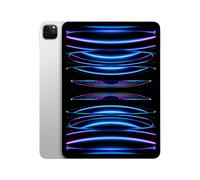 iPad Pro 4a generazione 11 Chip M2 (2022), 2Tb - WiFi - Argento - Nouvo