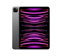 iPad Pro di quarta generazione 11 Chip M2 (2022), 2Tb - WiFi + Cellular 5G - Grigio Sidel - Nouvo