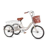 IPAGSEFWE Triciclo per adulti, Adult Tricycle 3 Wheel Bike HCS Frame 20 Inch Wheels With Rear Basket Red/Champagne Gold